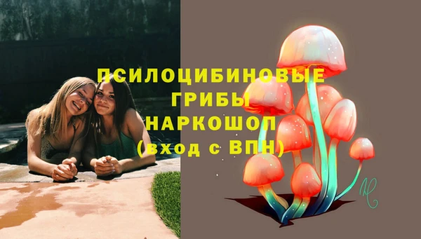 молекула духа Нязепетровск